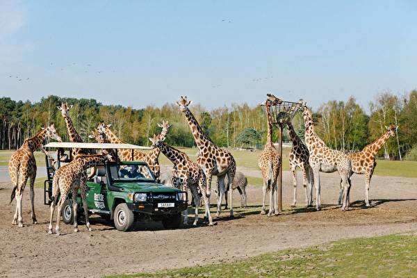 Hotel 46 - Safaripark de Beekse Bergen